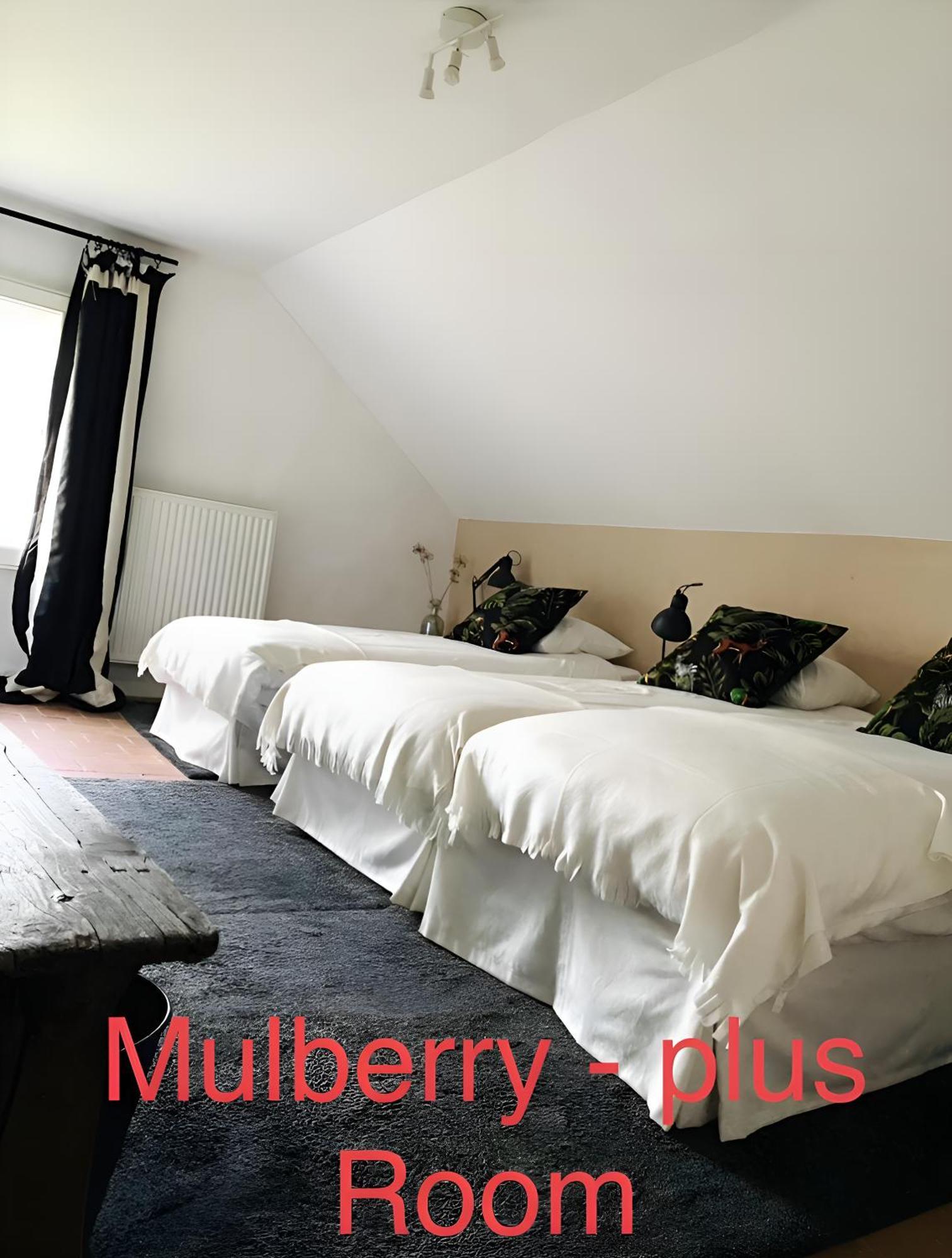 Bed & Breakfast Kasteelhof