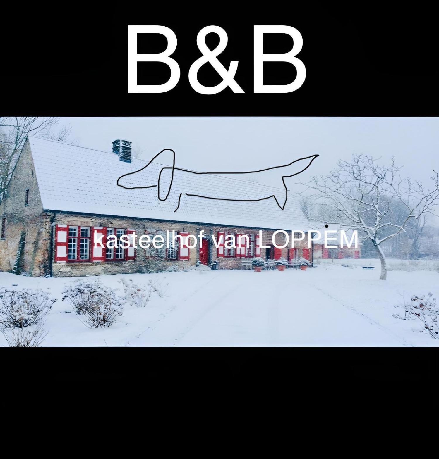 Kasteelhof Bed & Breakfast Loppem